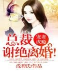 宠妻成瘾：总裁谢绝离婚！