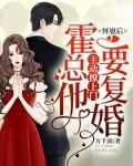 怀崽后，霍总他主动撩上门要复婚