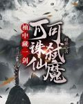 袖中藏一剑，可诛仙可弑魔
